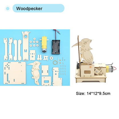 DIY Science Experiment Kit