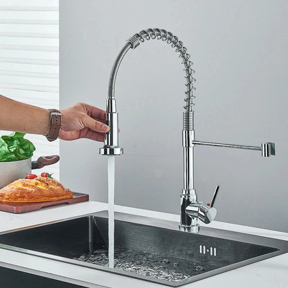 Stainless Steel Mixer Tap with Spray Head